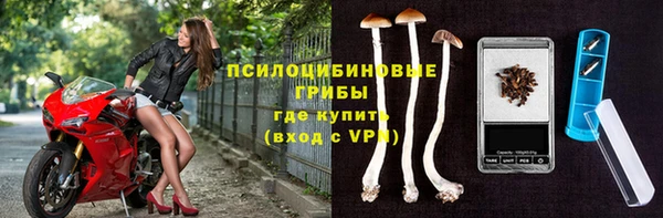ECSTASY Козловка