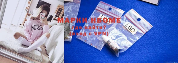 стафф Кодинск